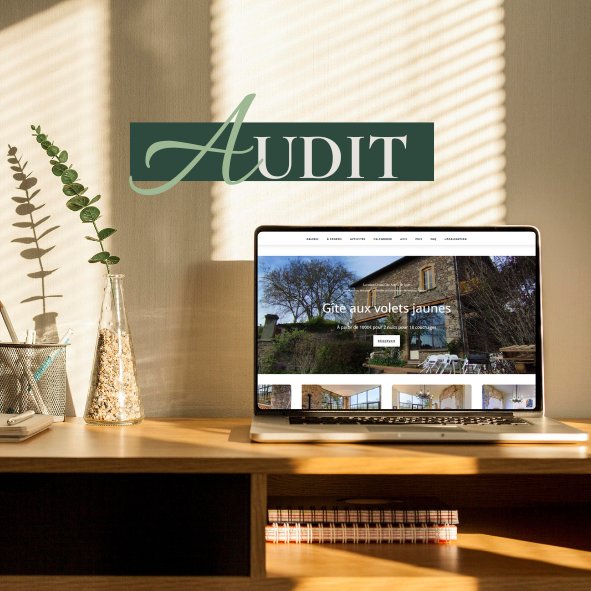 Audit